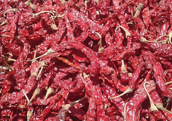 S-668 Byadgi Chilli