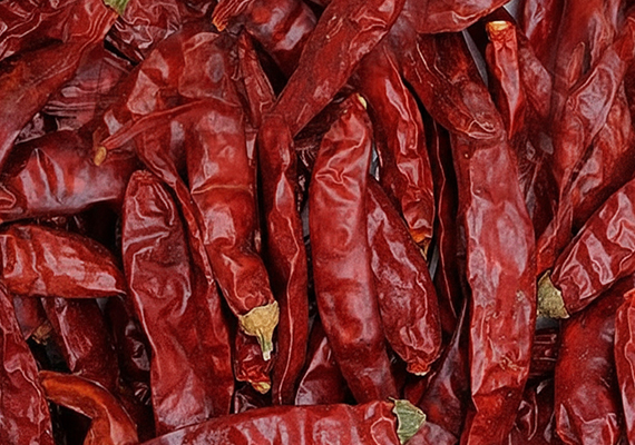 Guntur Dried Chilli 341